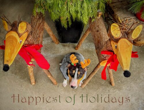 Loose Lipped and Twas the Night Before Christmas