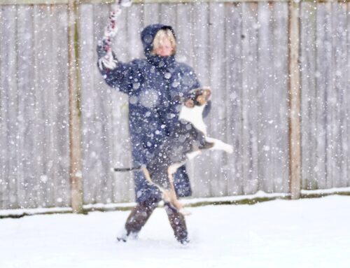 Loose Lipped and the New Year