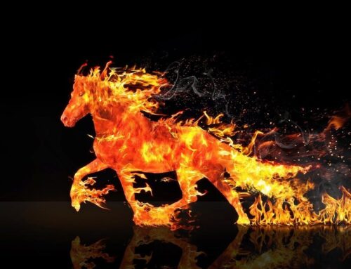 Loose Lipped and no February Blahs.