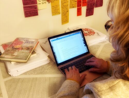 Loose Lipped, Plotter or Pantser? Pick One.